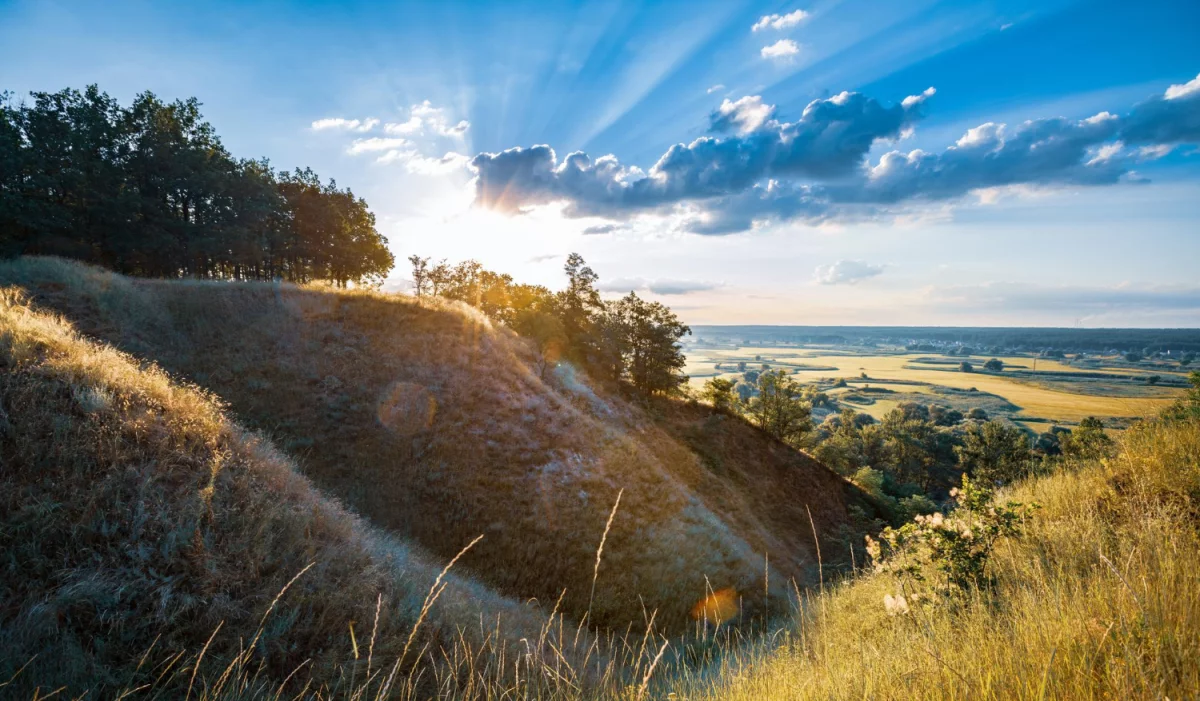 BDO w Czechach: jak zarejestrować się, obowiązki dla polskich eksporterów i kary — krok po kroku przewodnik