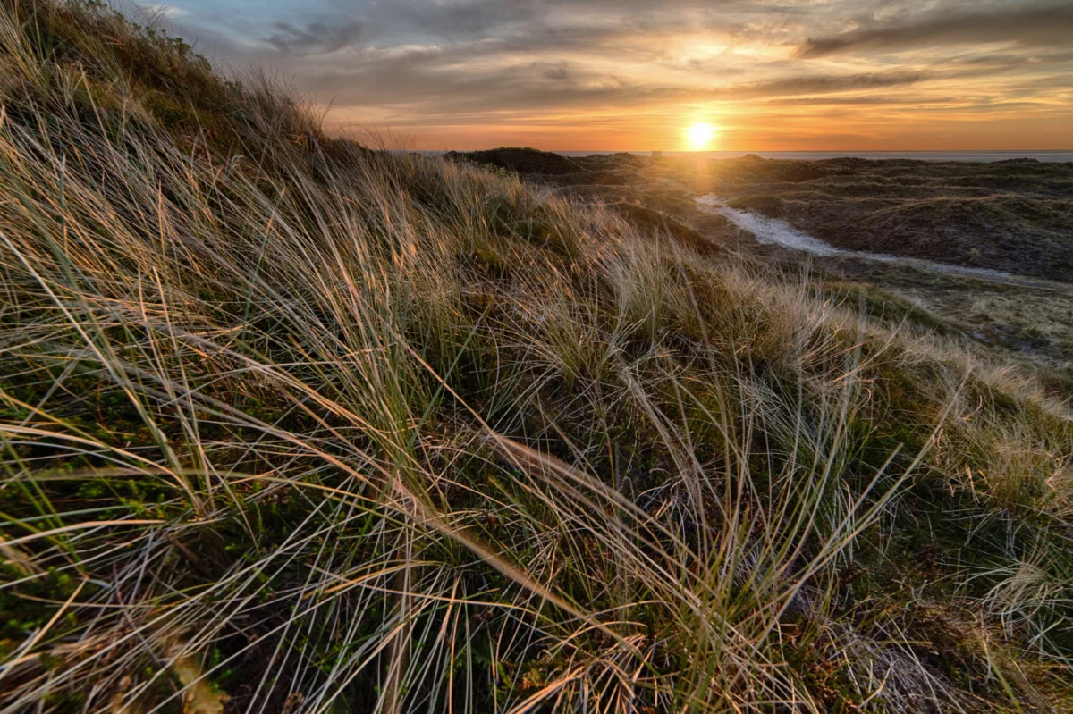 Oni Nie Chcą Abyś Dowiedział Się Jak złożyć sprawozdanie BDO!