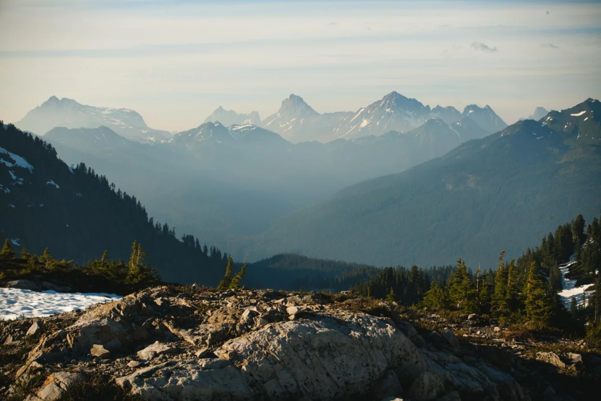 Czy ktoś też potrzebuje pójść do restauracji?